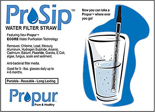 ProOne ProSip Straw [formerly Propur]