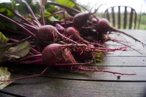 Three-Beet Powder, Organic Seasoning (by Dr. Cowan's Garden)